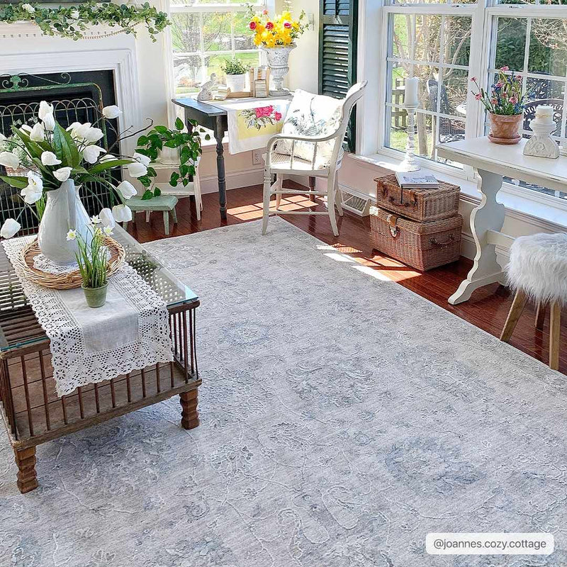 Albuquerque Area Rug by Hauteloom