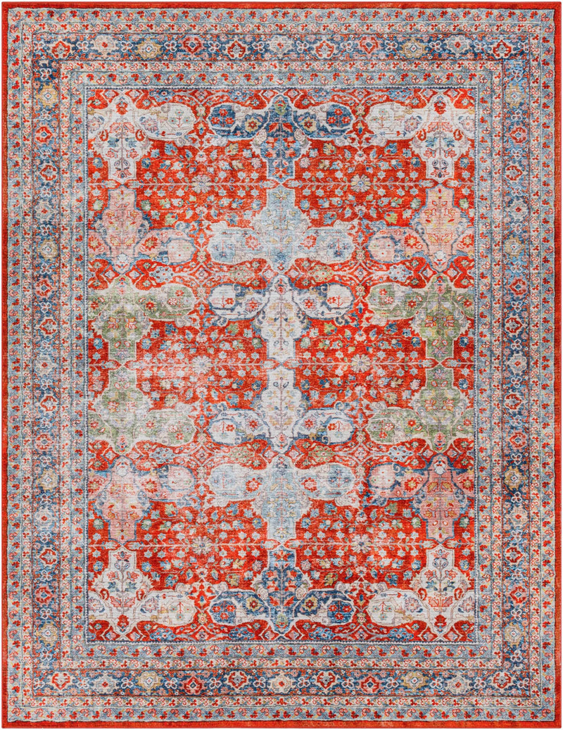 Kangundo Washable Area Rug - Clearance by Boutique Rugs