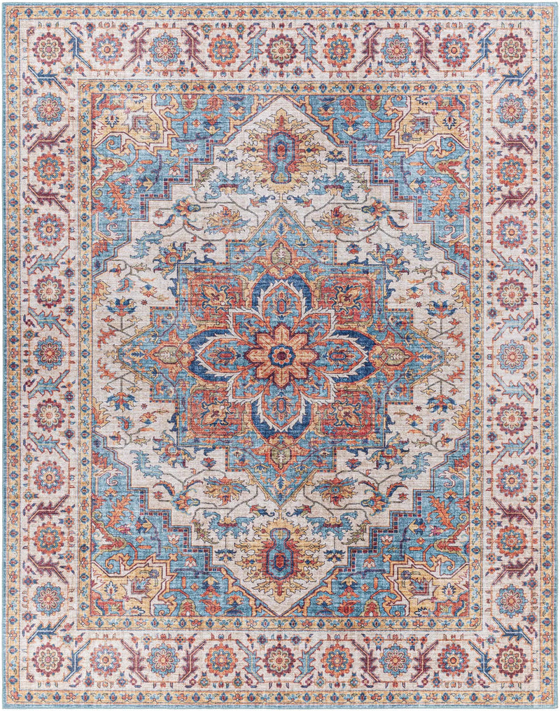 Kapaa Traditional Area Rug by Boutique Rugs