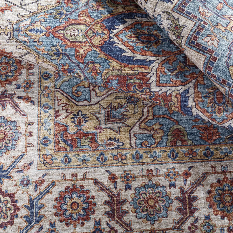 Kapaa Traditional Area Rug by Boutique Rugs