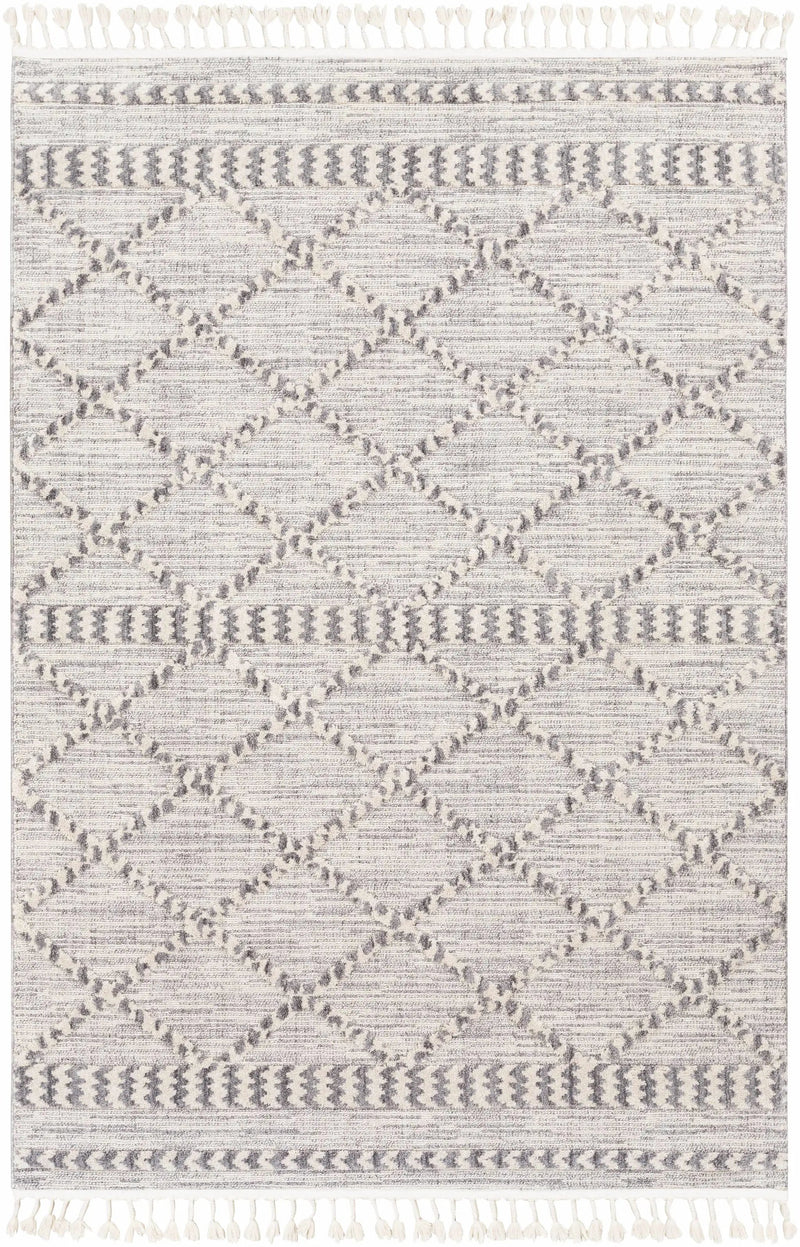 Kincheloe Textured 5x7 Carpet - Clearance by Boutique Rugs