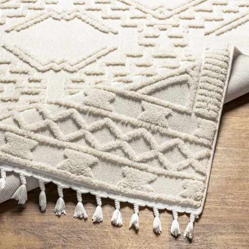 Kalkan High/Low Pile Rug with Tassels - Clearance by Boutique Rugs