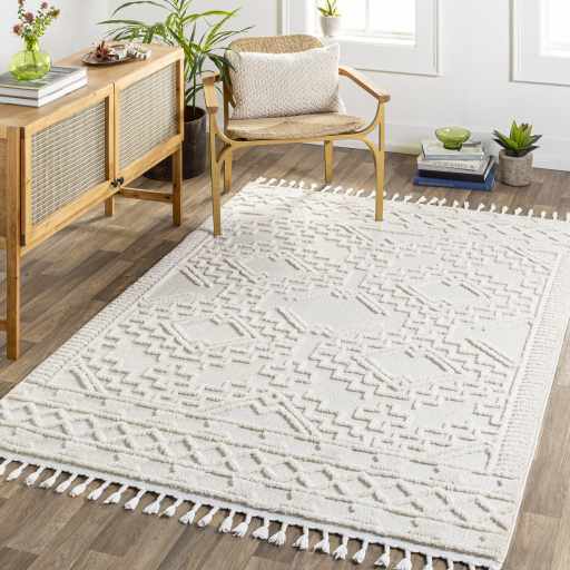 Kalkan High/Low Pile Rug with Tassels - Clearance, installed in a room