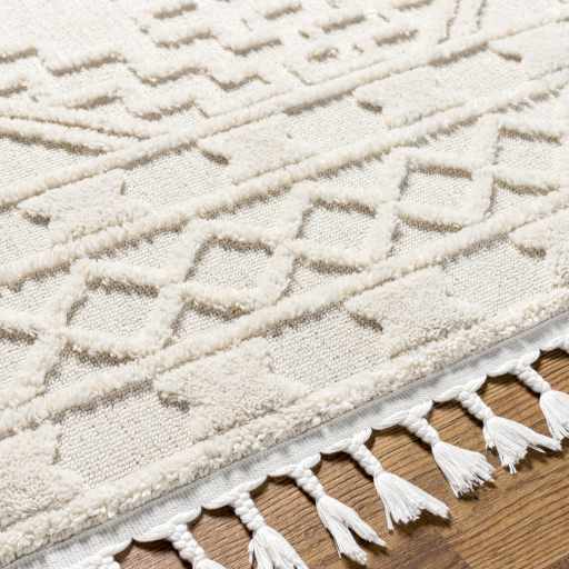 Kalkan High/Low Pile Rug with Tassels - Clearance by Boutique Rugs