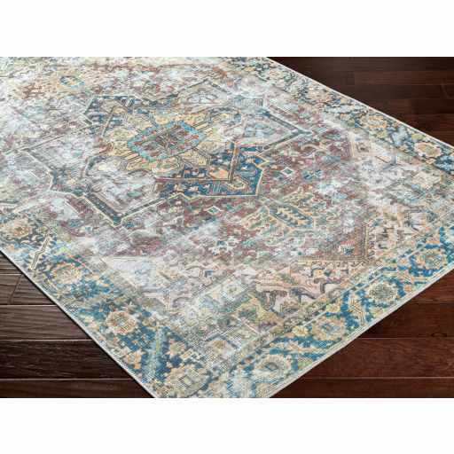 Blue Catigpian Distressed Washable Area Rug by Hauteloom