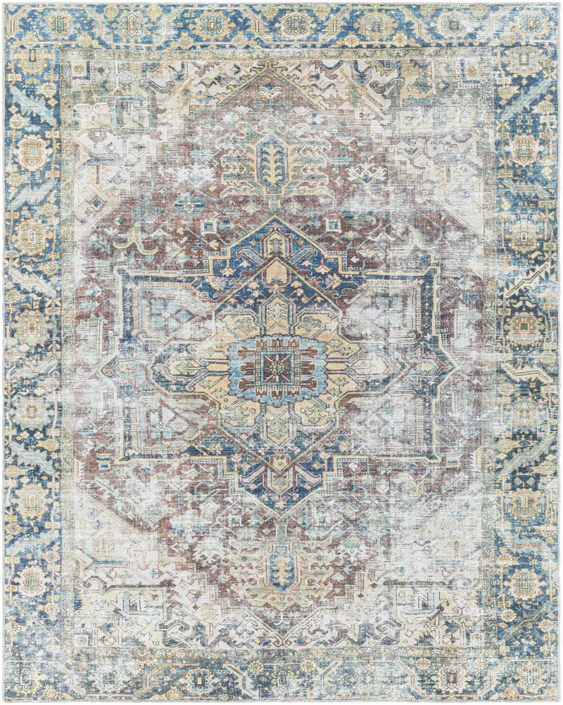 Blue Catigpian Distressed Washable Area Rug by Hauteloom