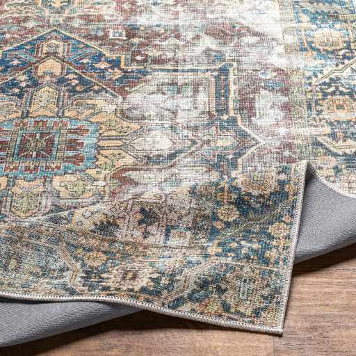 Blue Catigpian Distressed Washable Area Rug by Hauteloom
