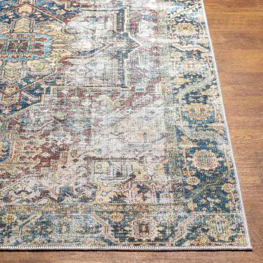Blue Catigpian Distressed Washable Area Rug by Hauteloom