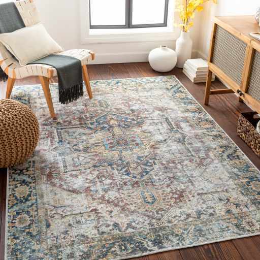 Blue Catigpian Distressed Washable Area Rug by Hauteloom