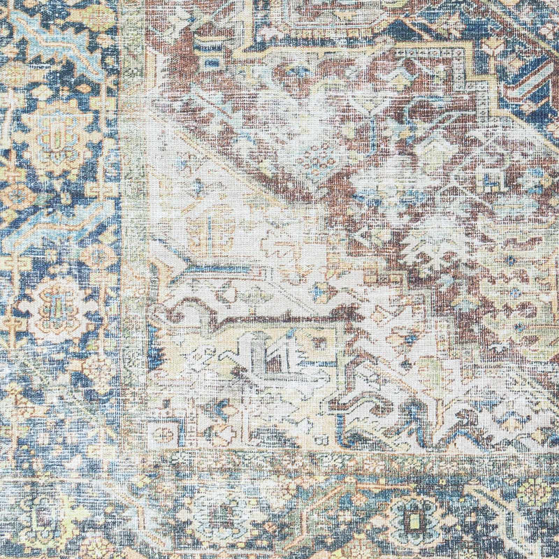 Blue Catigpian Distressed Washable Area Rug by Hauteloom