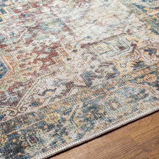 Blue Catigpian Distressed Washable Area Rug by Hauteloom
