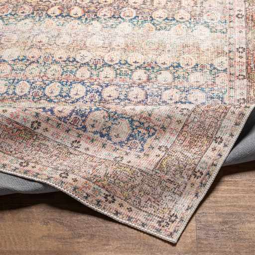 Rust Maligaya Distressed Washable Area Rug by Hauteloom