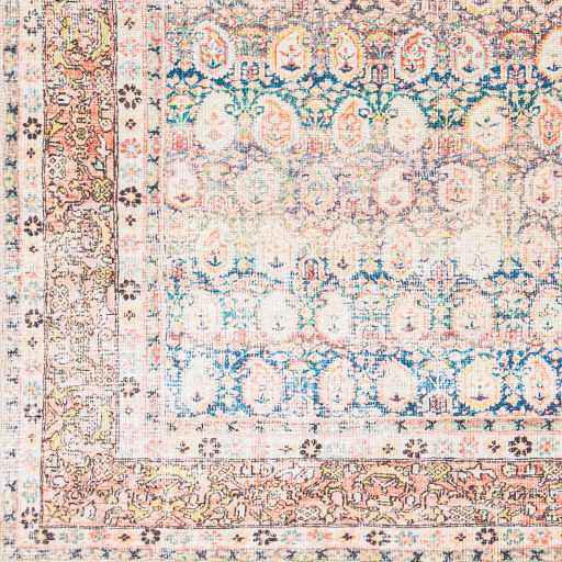 Rust Maligaya Distressed Washable Area Rug by Hauteloom