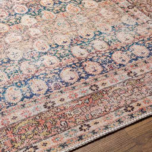 Rust Maligaya Distressed Washable Area Rug by Hauteloom