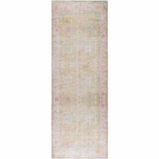 Bozkurt Distressed Washable Rug by Hauteloom