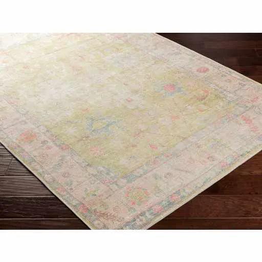 Bozkurt Distressed Washable Rug by Hauteloom
