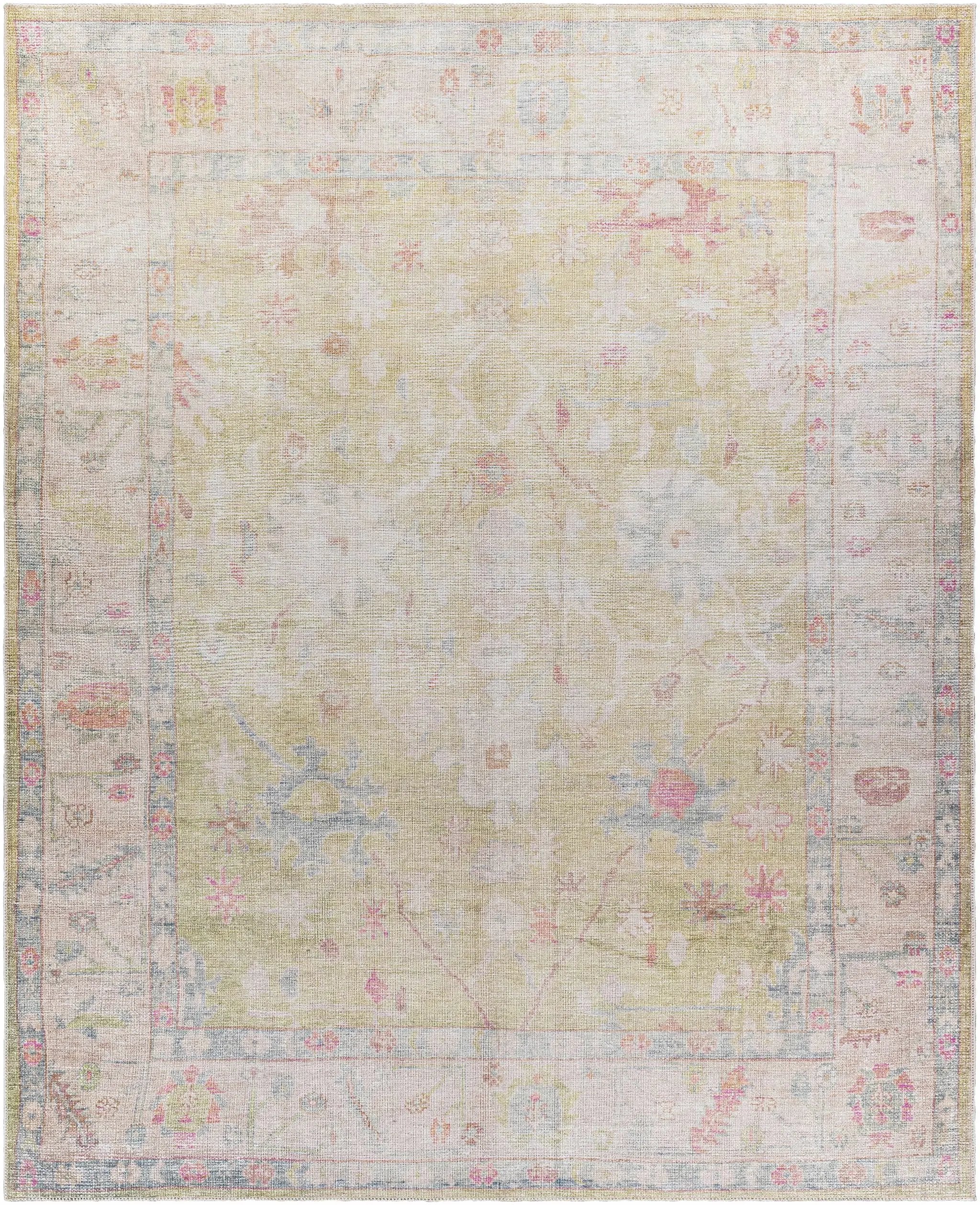 Bozkurt Distressed Washable Rug by Hauteloom
