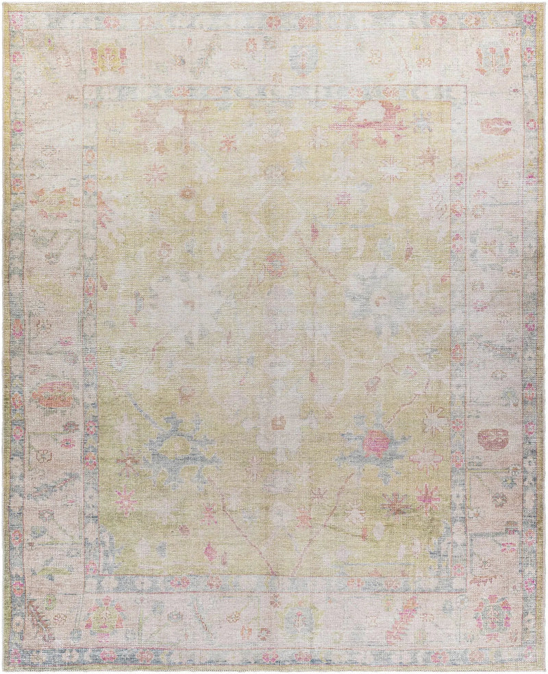 Bozkurt Distressed Washable Rug by Hauteloom