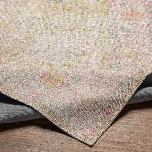 Bozkurt Distressed Washable Rug by Hauteloom