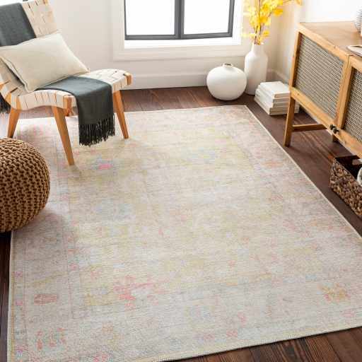 Bozkurt Distressed Washable Rug by Hauteloom