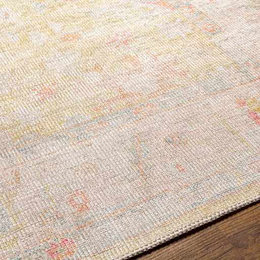 Bozkurt Distressed Washable Rug by Hauteloom