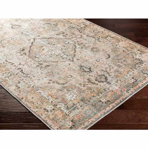 Brown Standon Vintage Washable Area Rug by Hauteloom