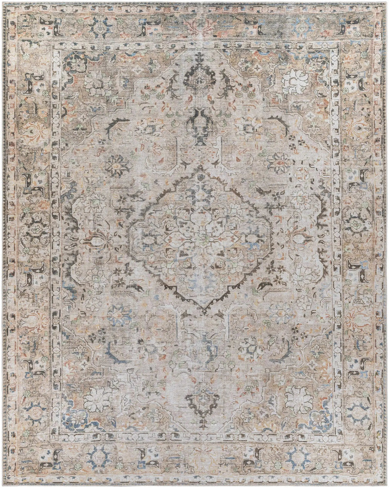 Brown Standon Vintage Washable Area Rug by Hauteloom