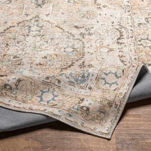 Brown Standon Vintage Washable Area Rug by Hauteloom