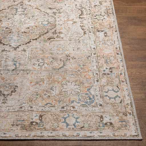 Brown Standon Vintage Washable Area Rug by Hauteloom