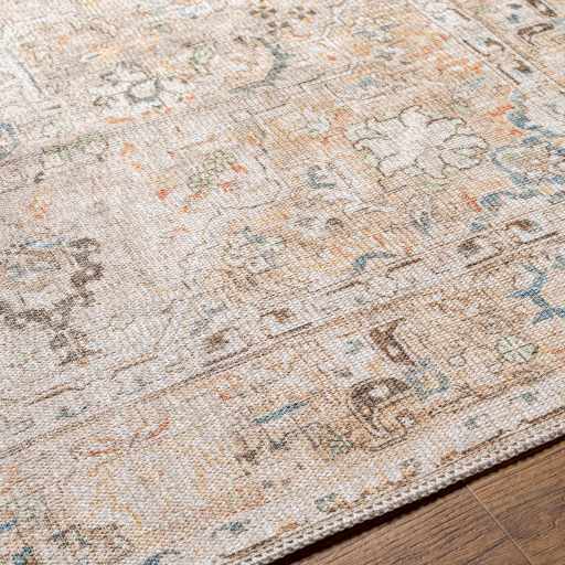 Brown Standon Vintage Washable Area Rug by Hauteloom