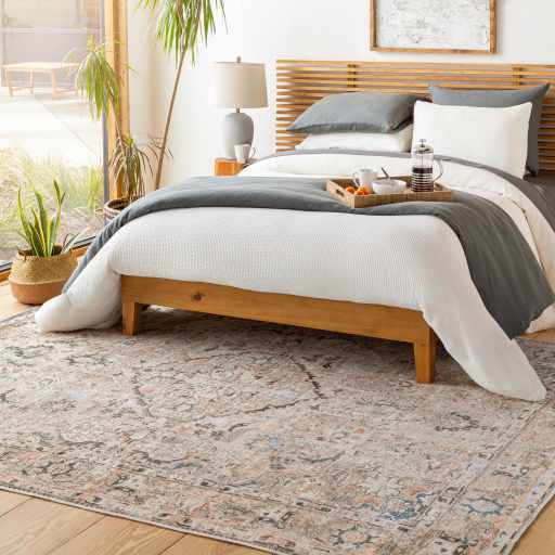 Brown Standon Vintage Washable Area Rug by Hauteloom