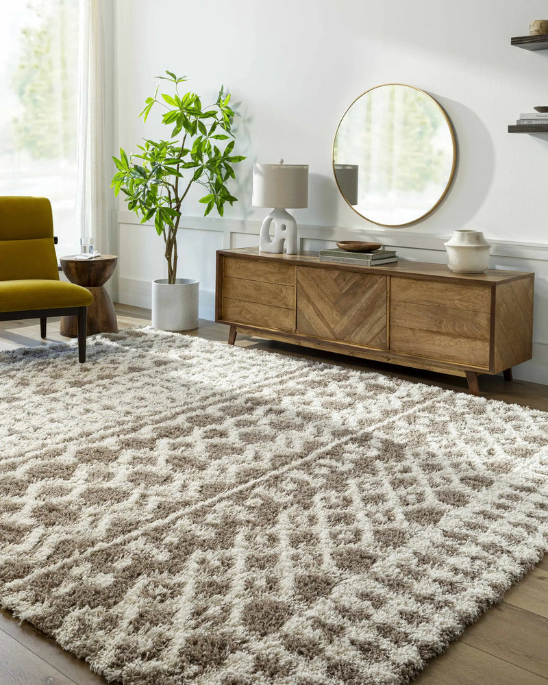 Kato Shag Area Rug by Boutique Rugs