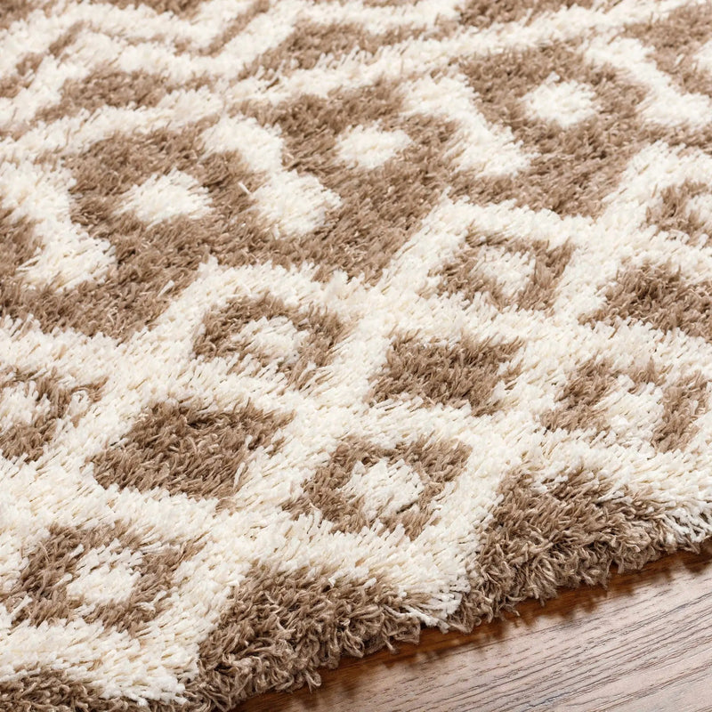 Kato Shag Area Rug by Boutique Rugs