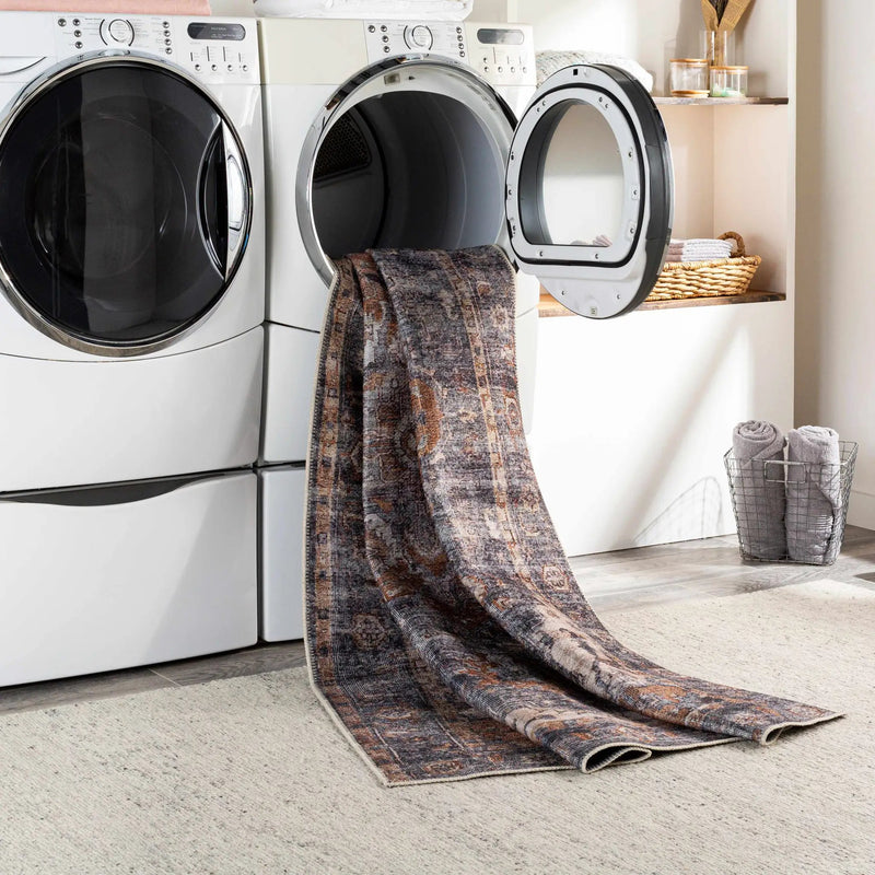 Lagangilang Washable Area Rug - Clearance by Boutique Rugs