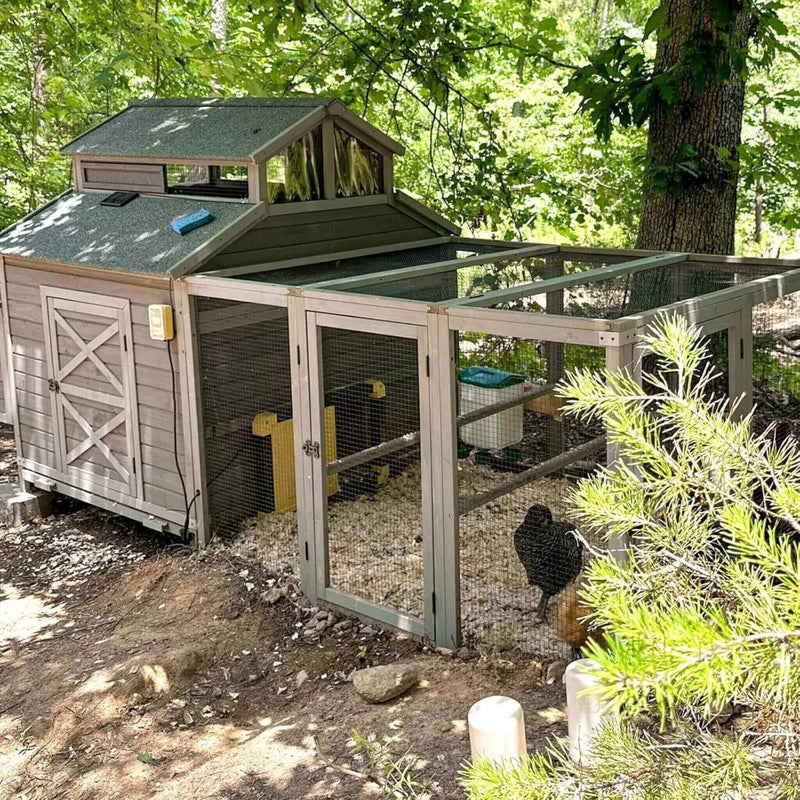 Large 115-Inch Portable Chicken Coop With Run And Nesting Boxes [8-10 Chickens] (SAK18263) by SAKSBY WHOLESALE