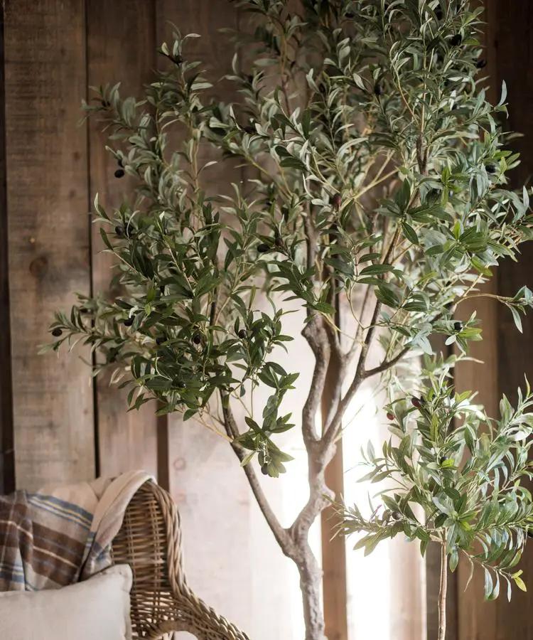 Large Artificial Olive Tree 94" Tall In Pot by RusticReach
