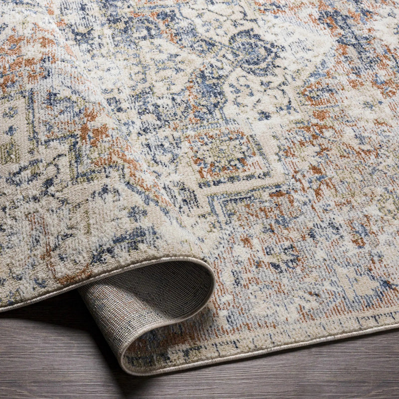 Loughrea Area Rug - Clearance by Boutique Rugs