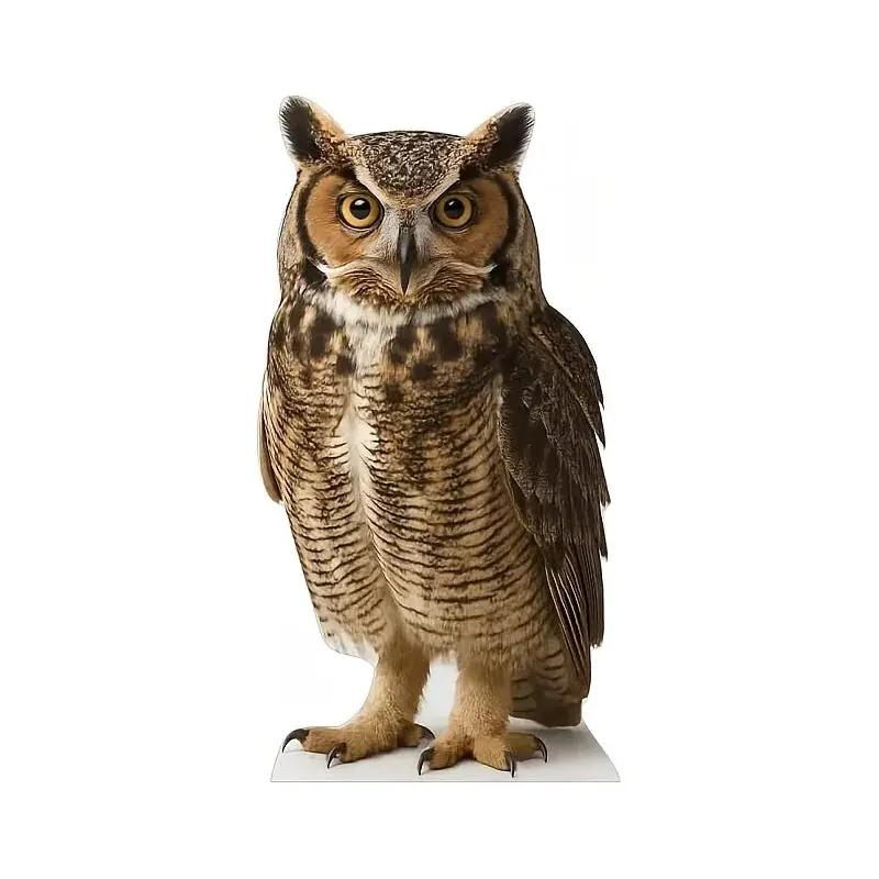 Life Size Owl Cardboard Cutout Standup for Events and Decor by House Of Avana