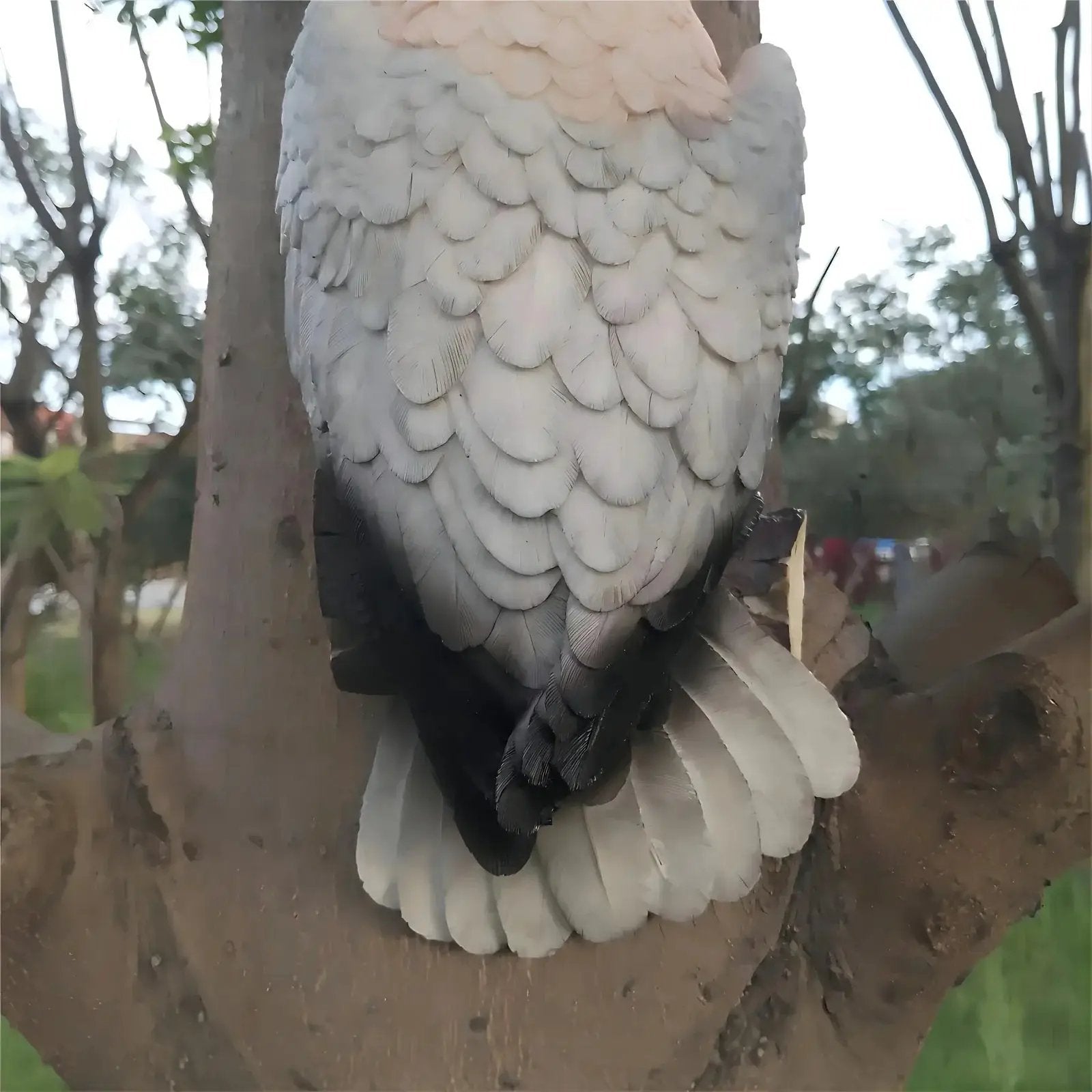 [Lifelike Resin Parrot] Classic White and Pink Resin Parrot Sculpture - Lifelike Outdoor Garden Tree Hanging Decoration, No Electricity Needed, Perfect for Thanksgiving Decor, Bird Decor by House Of Avana