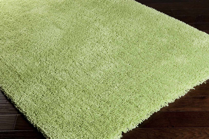 Lincolnton 2x3 small Carpet - Clearance by Boutique Rugs