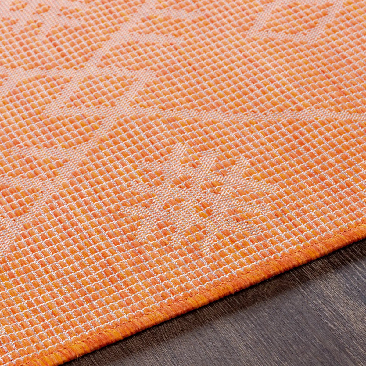 Lisarow Flatweave Outdoor Area Carpet - Clearance, photo 8 of 11