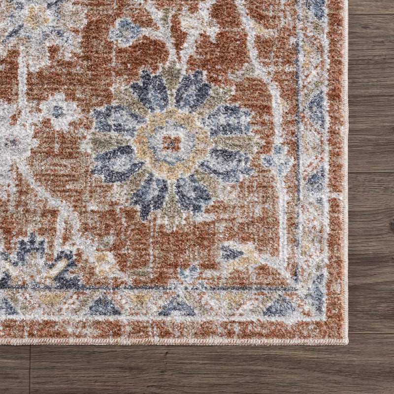 Chavi Washable Area Rug - Clearance by Boutique Rugs