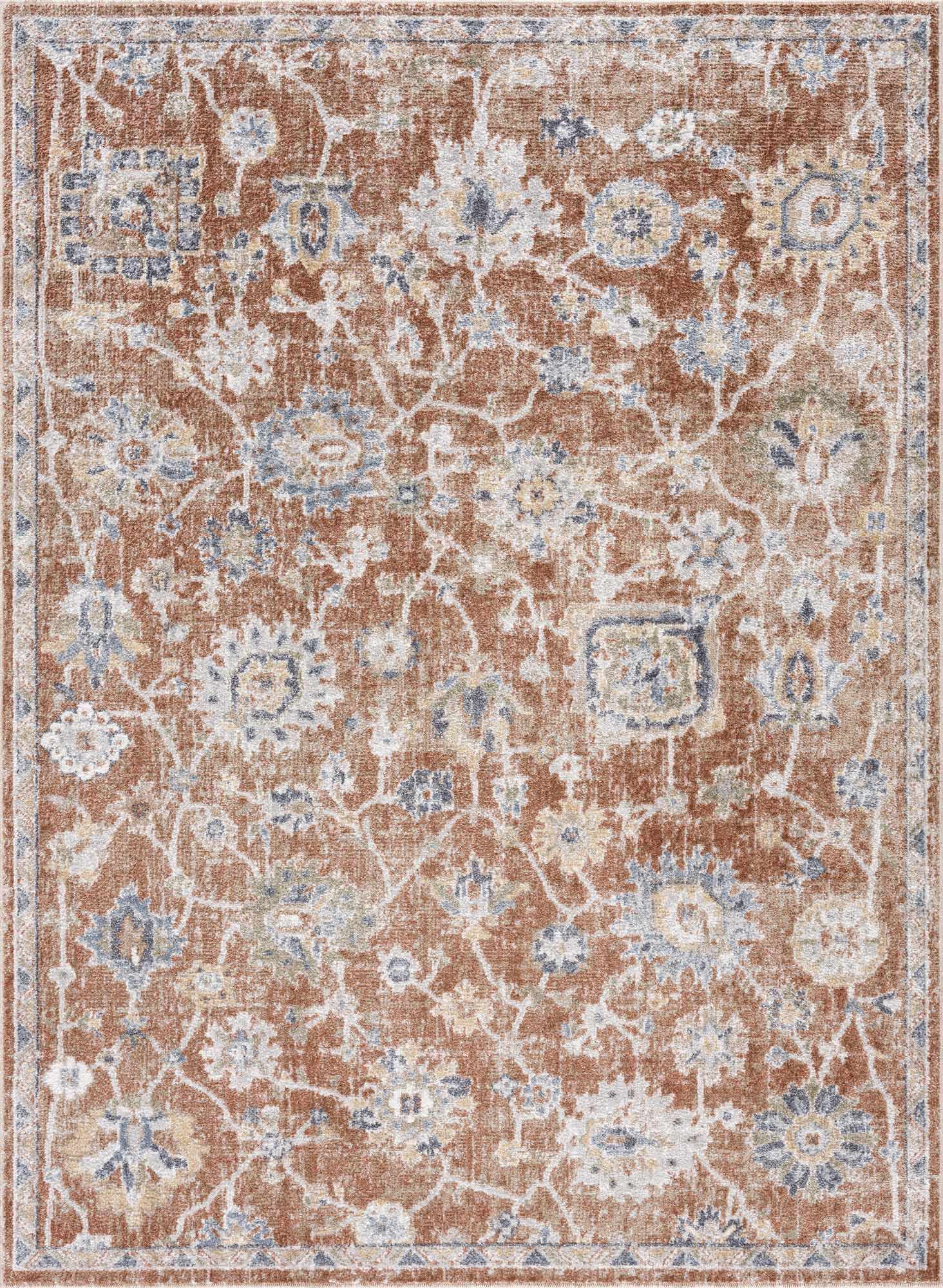 Chavi Washable Area Rug - Clearance by Boutique Rugs