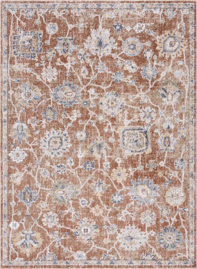 Chavi Washable Area Rug - Clearance by Boutique Rugs