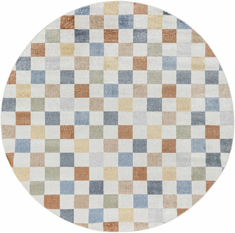Alie Colorful Checkered Washable Rug by Hauteloom