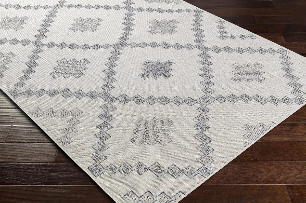 Lanigan Indoor & Outdoor Rug - Clearance, photo 3 of 7