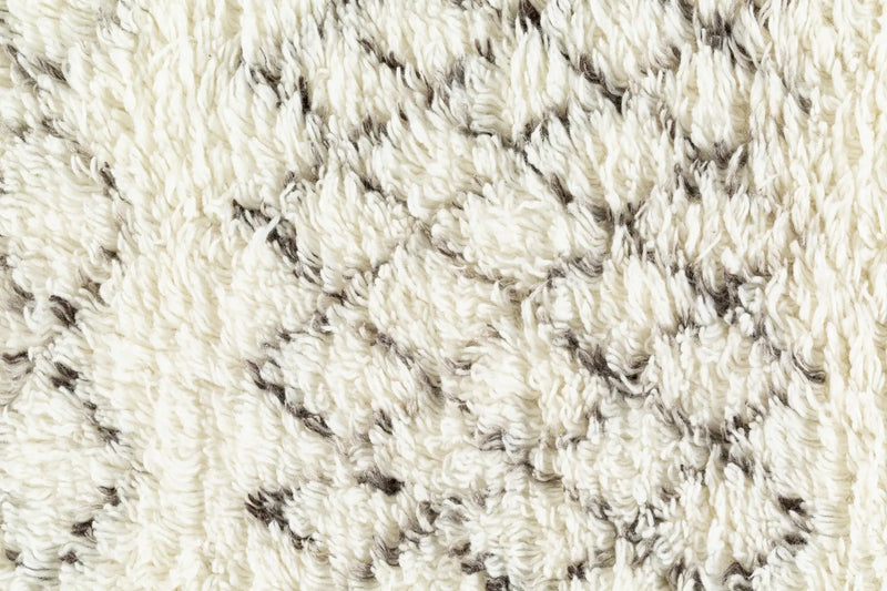 Lochwinnoch Area Rug - Clearance by Boutique Rugs