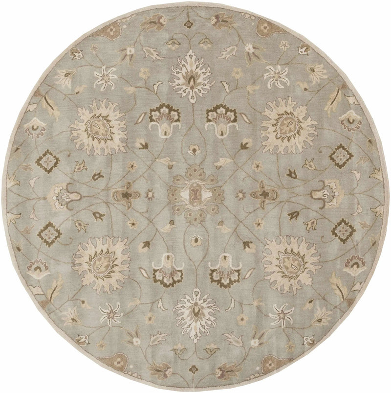 Logville Hand Tufted Light Olive 1121 Area Rug by Boutique Rugs