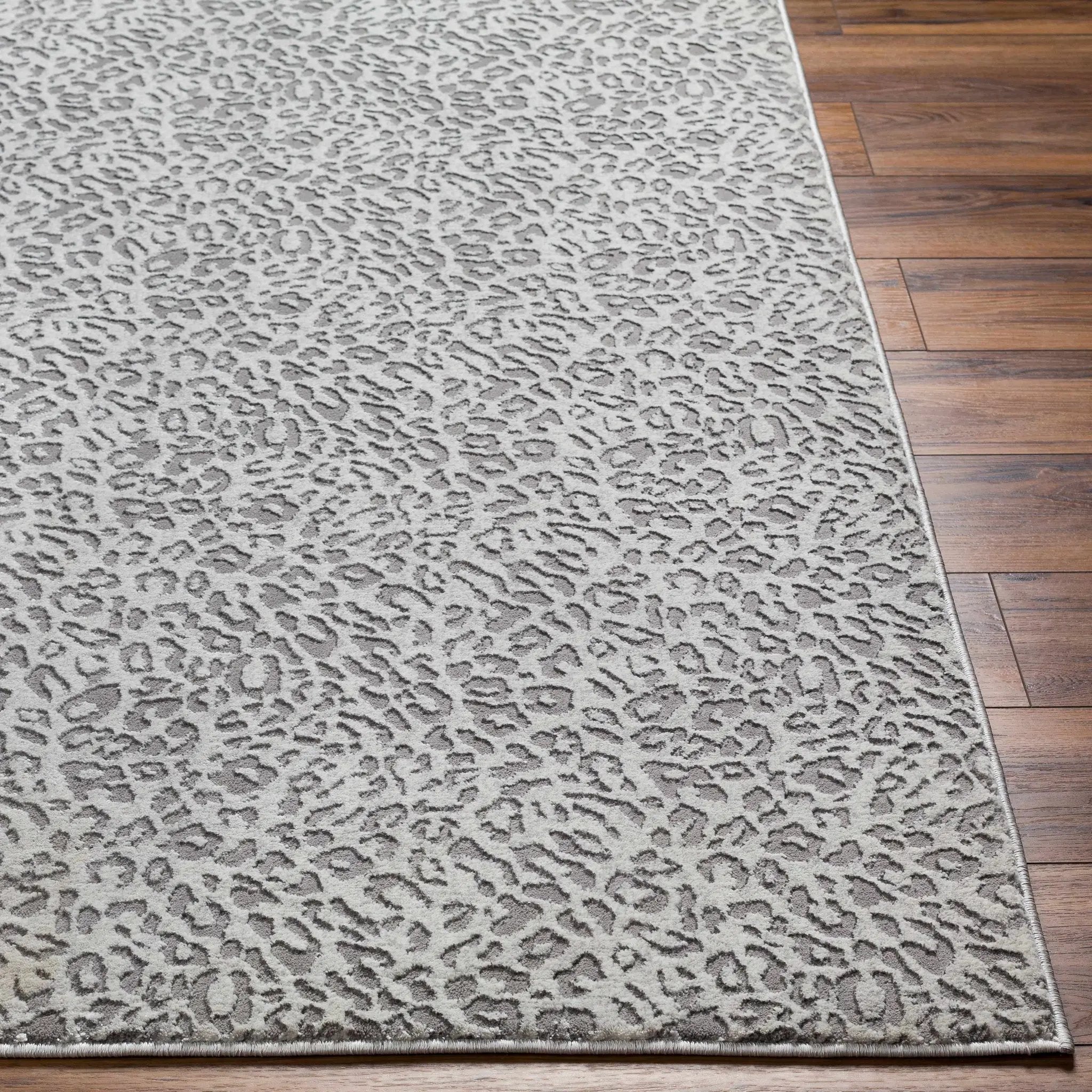 Lesa Area Rug - Clearance by Boutique Rugs