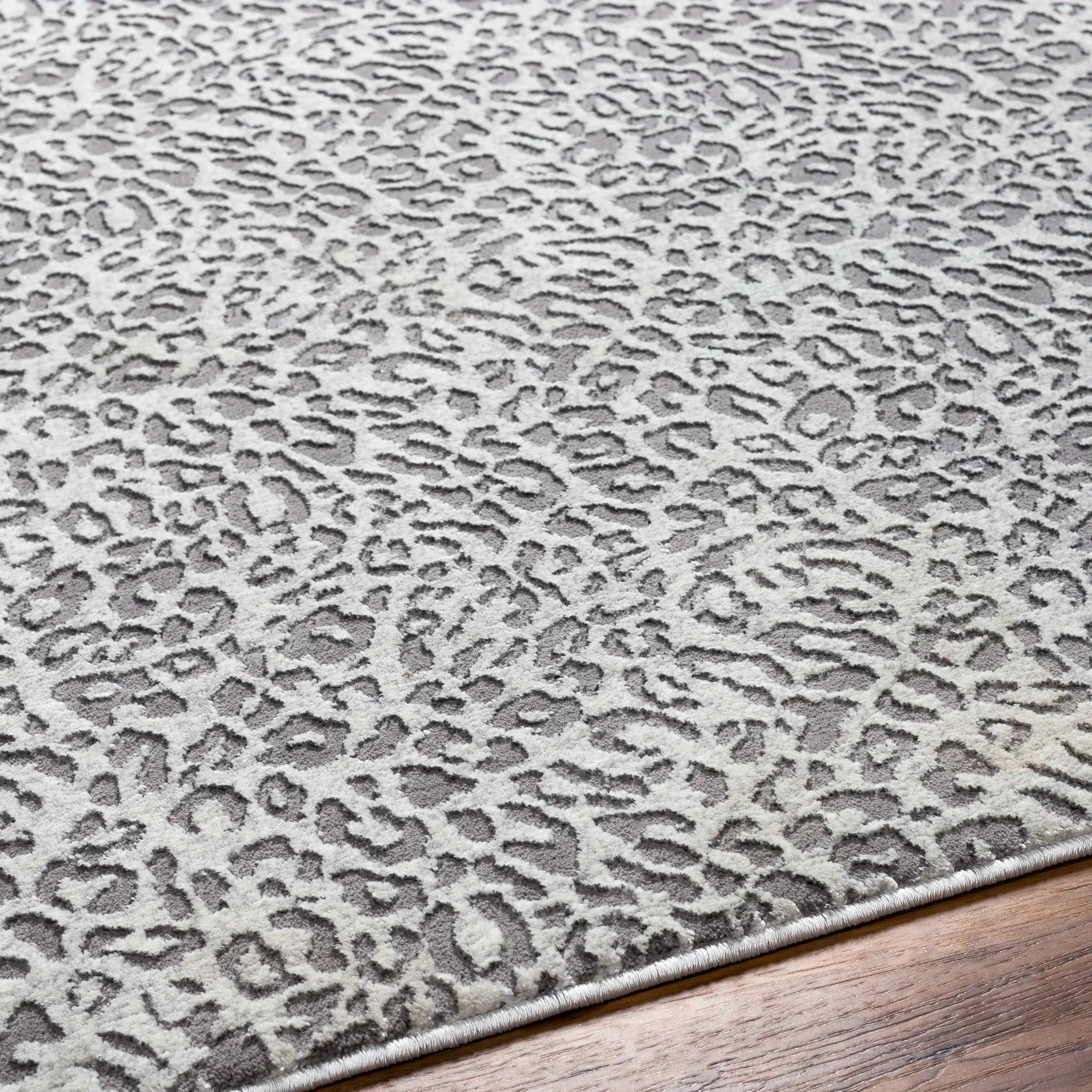 Lesa Area Rug - Clearance by Boutique Rugs